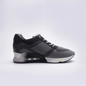 Ash lucky Women Sneaker
