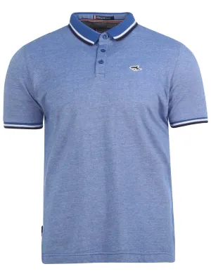 Le Shark Banks Blue Polo Shirt
