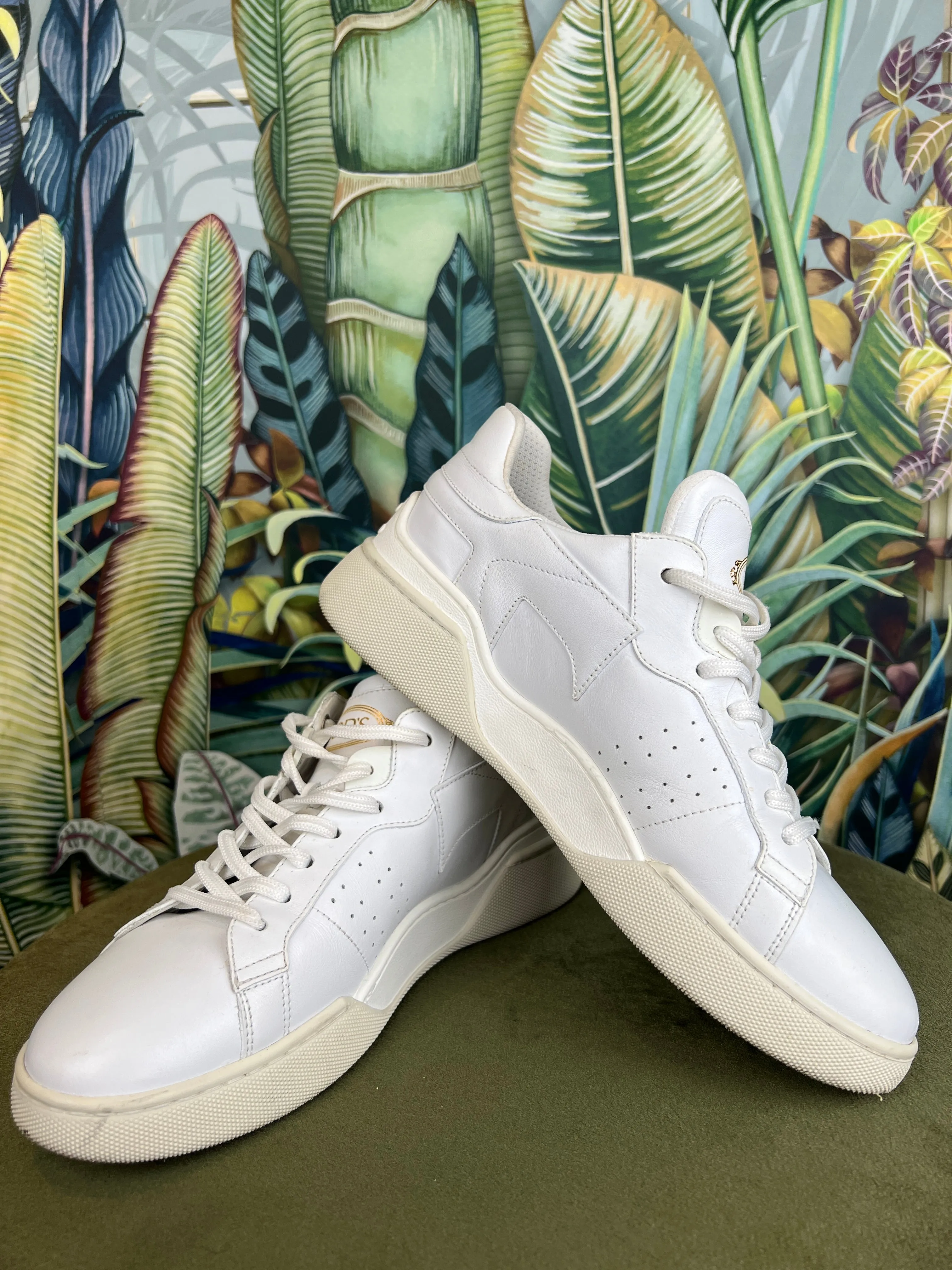 Tods white sneakers