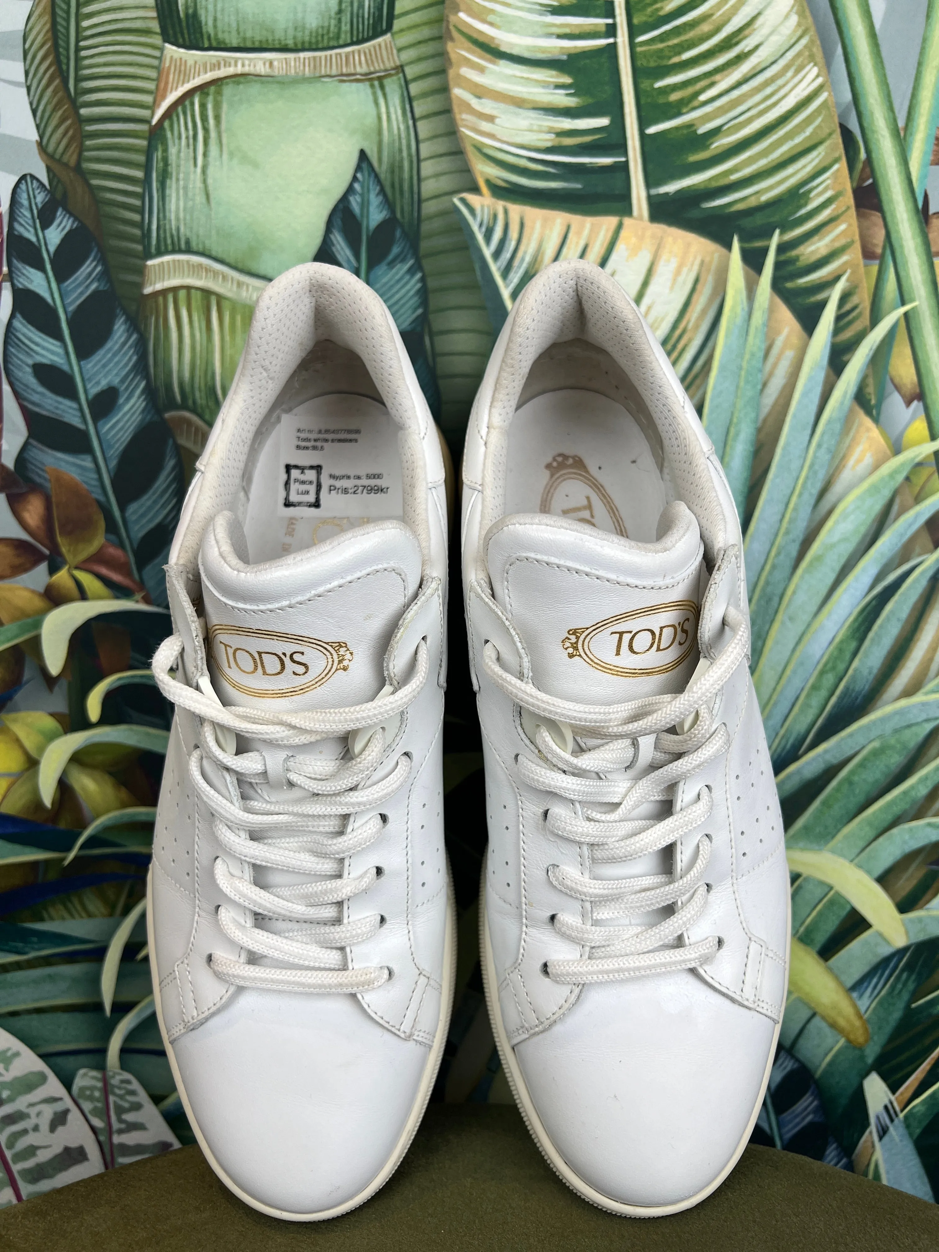 Tods white sneakers