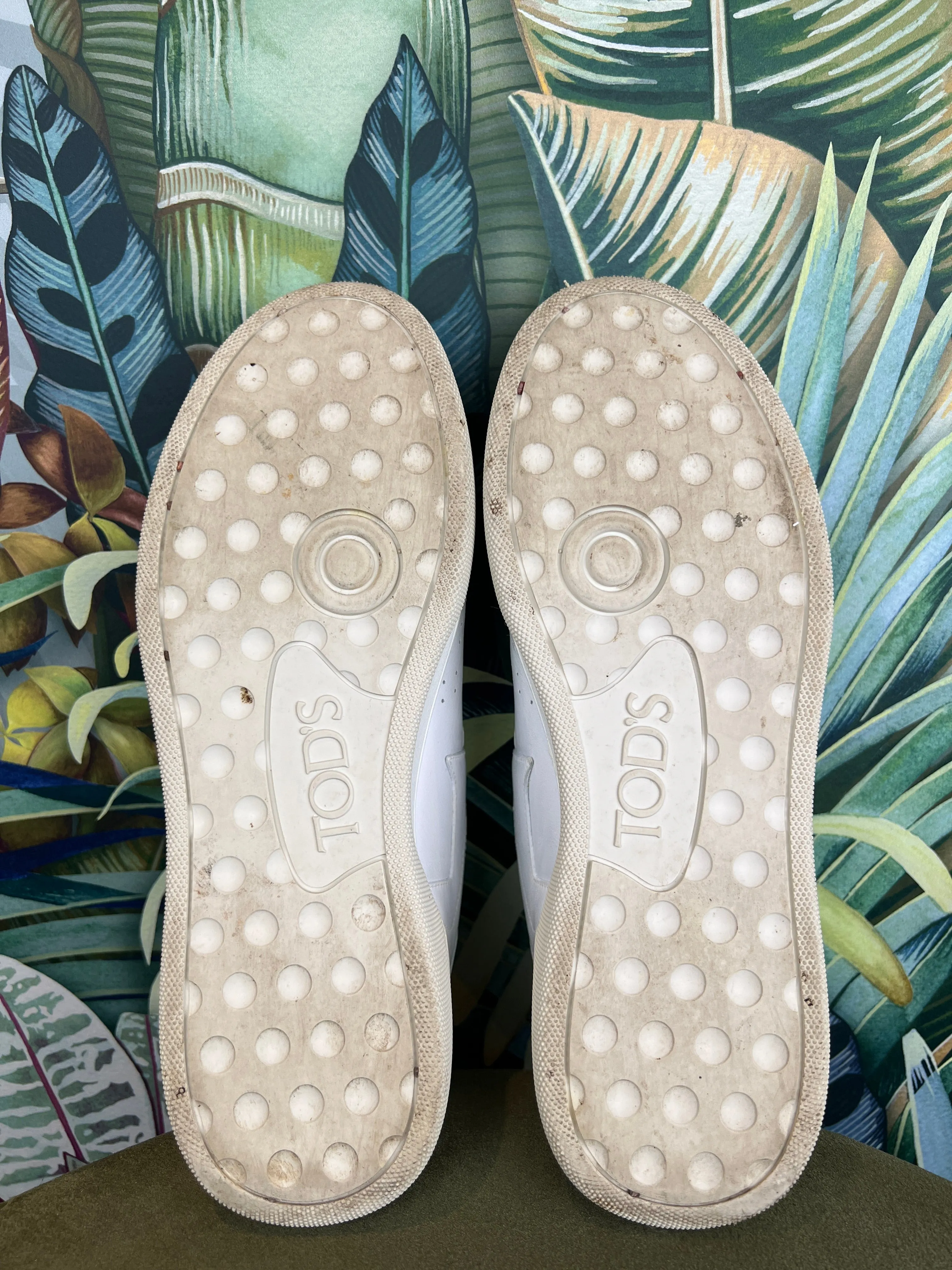 Tods white sneakers