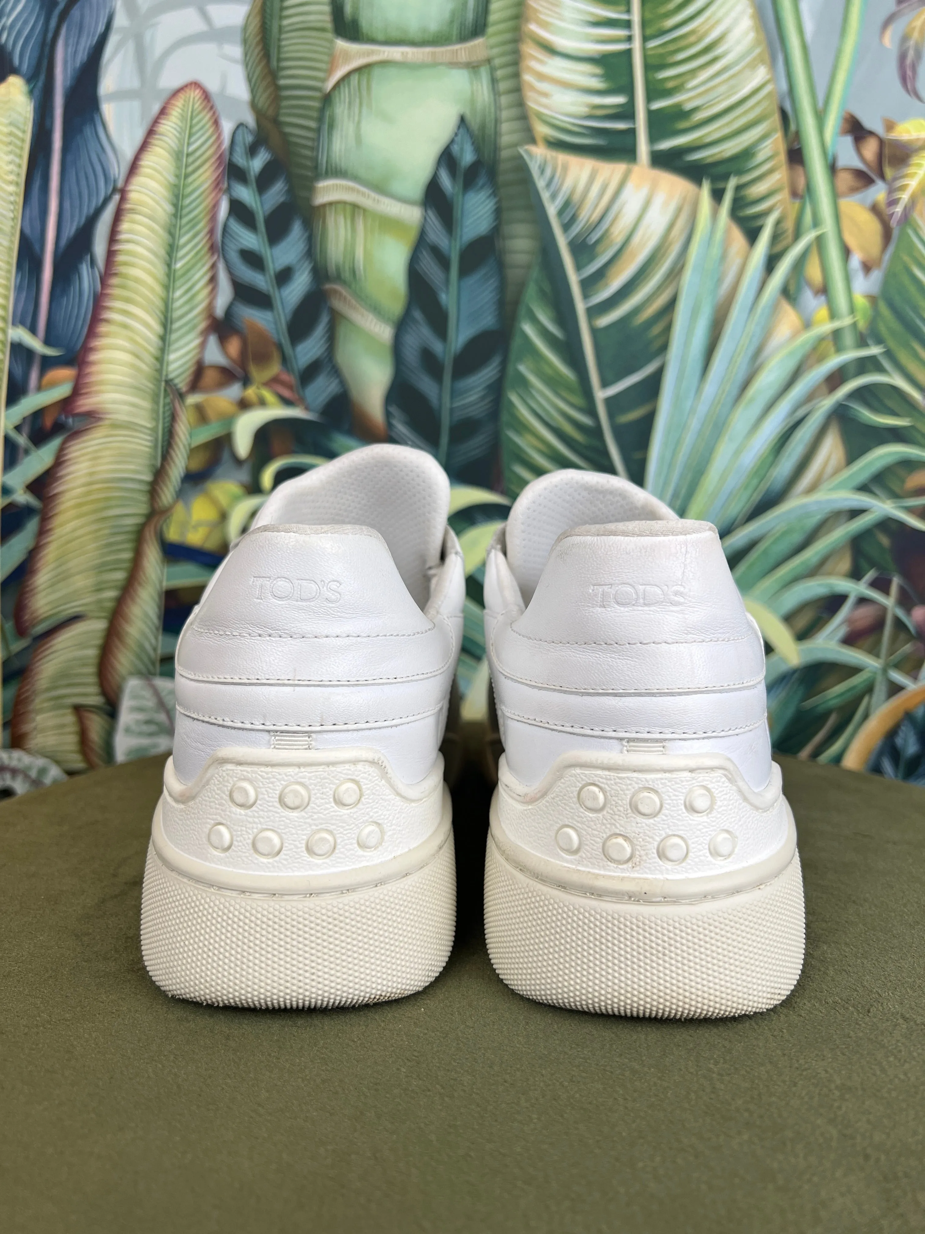 Tods white sneakers