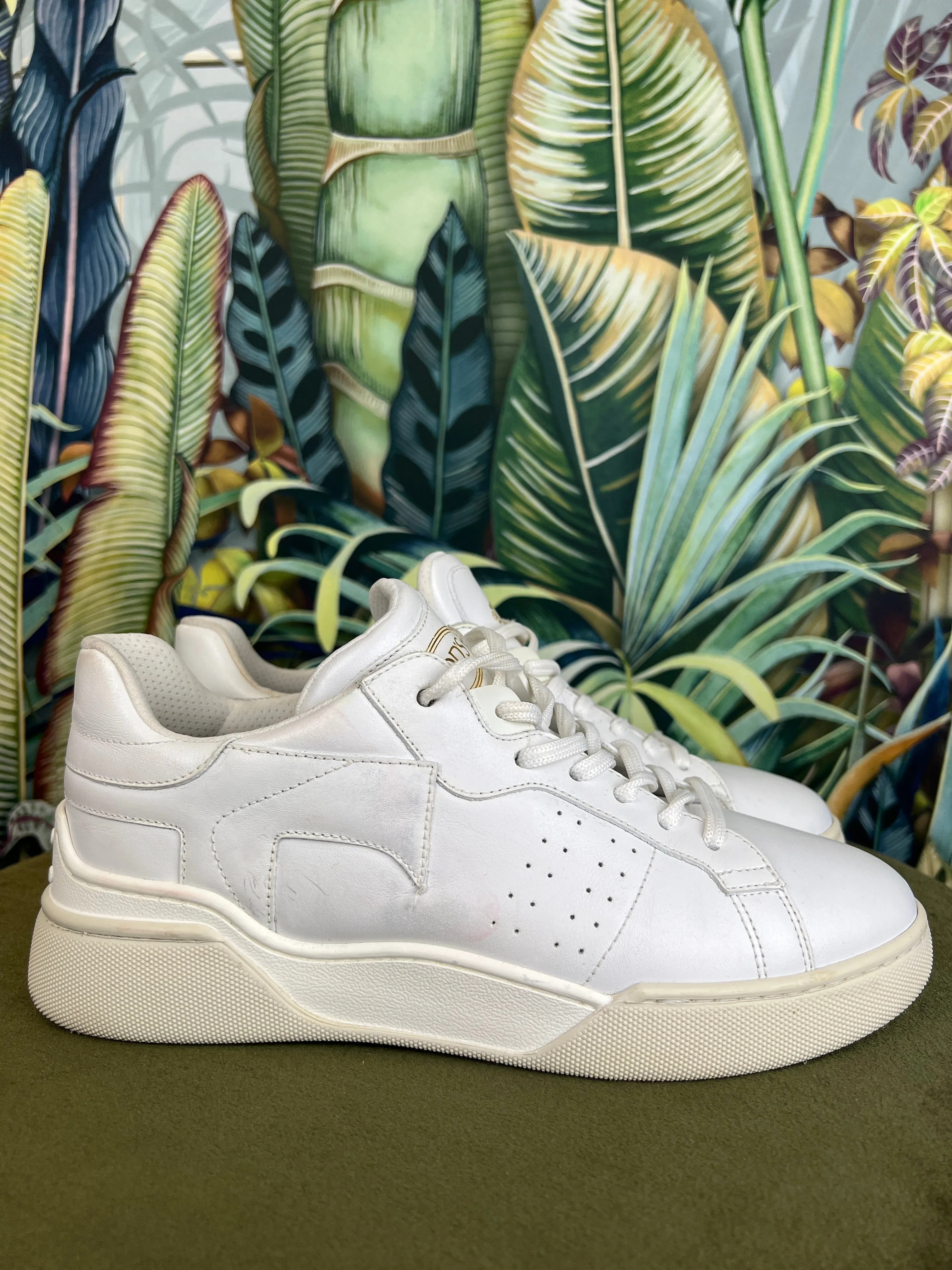Tods white sneakers