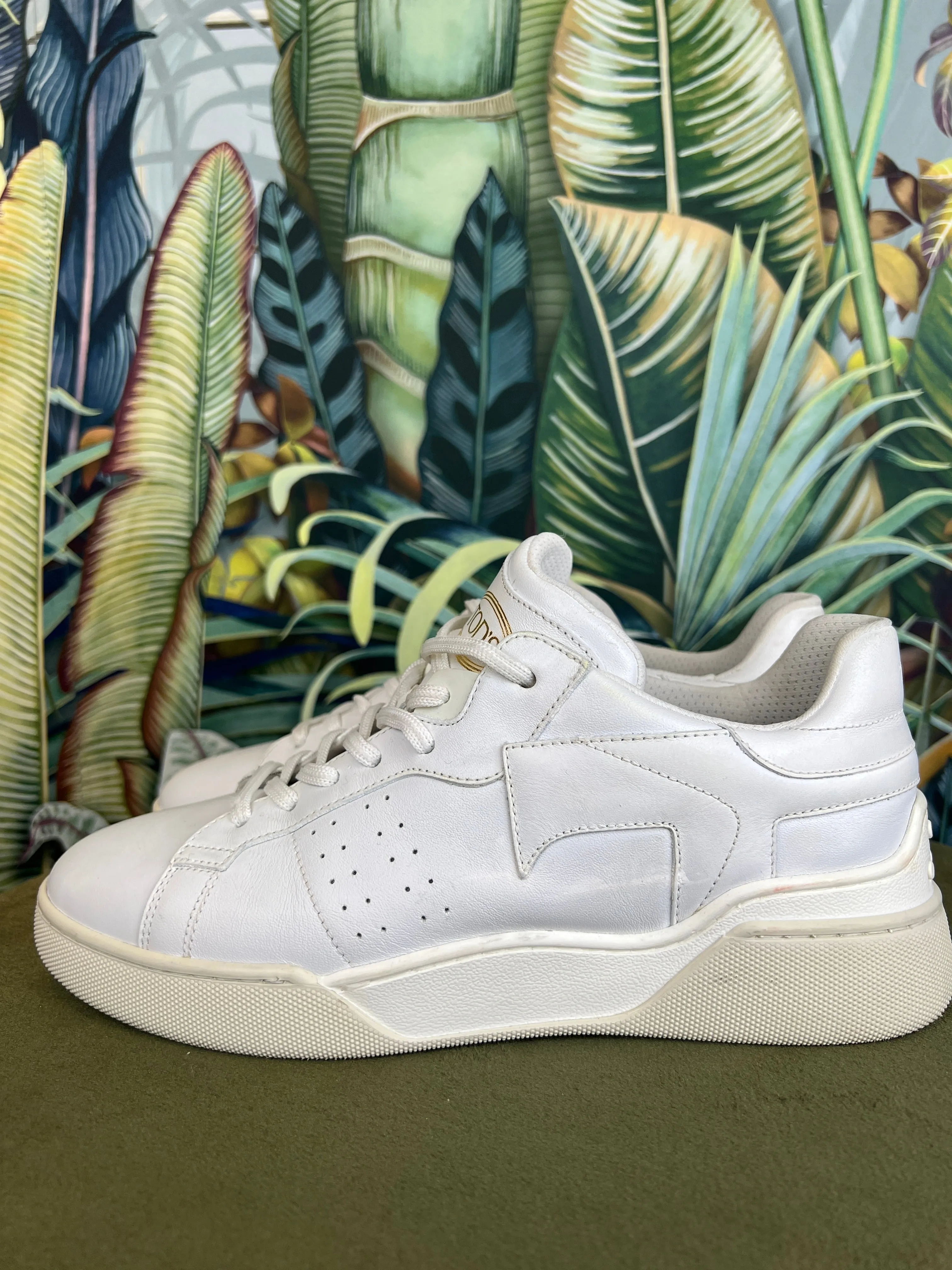 Tods white sneakers